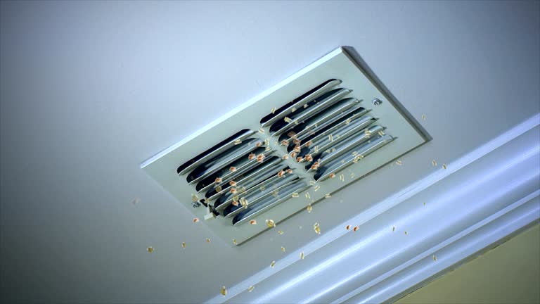 Best HVAC Duct Inspection Services  in Fort Hood, TX